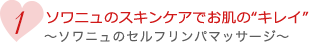 1.ソワニュのスキンケアでお肌の「キレイ」～ソワニュのセルフリンパマッサージ